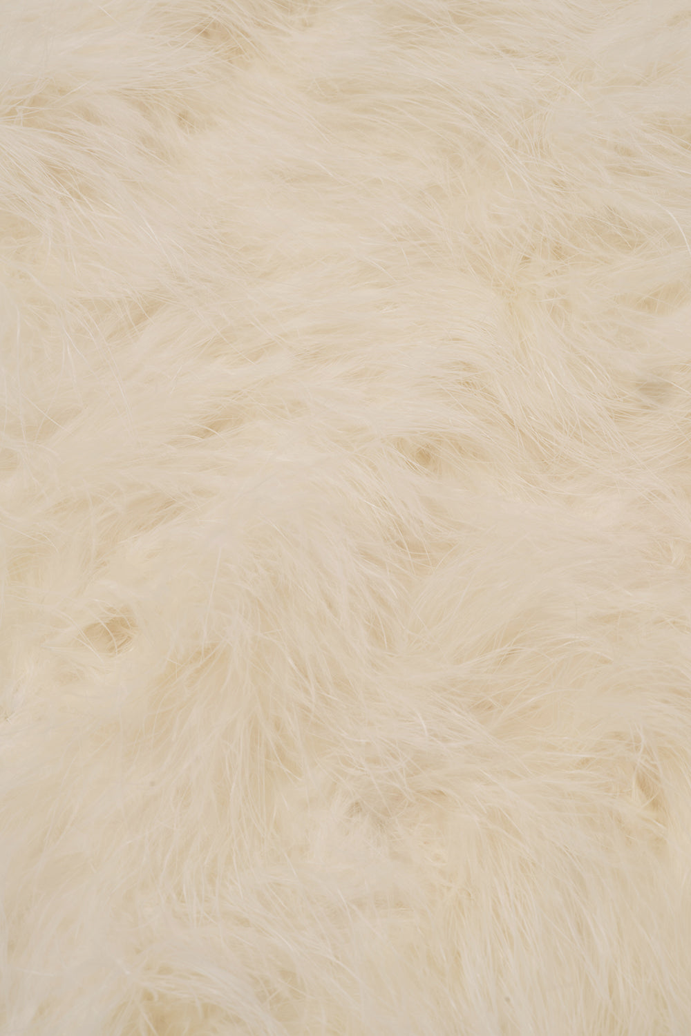 Feather stole in ivory